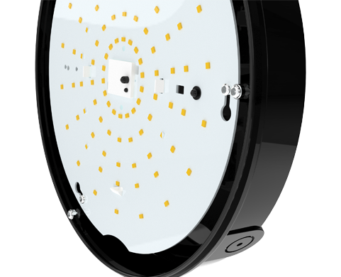 wp bulkhead cx sensor