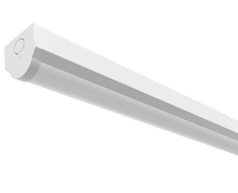 xcite batten main