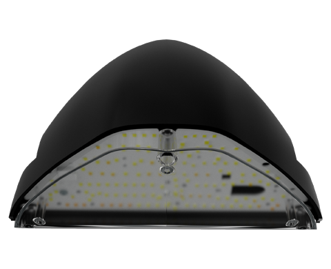 xcite midi wall main
